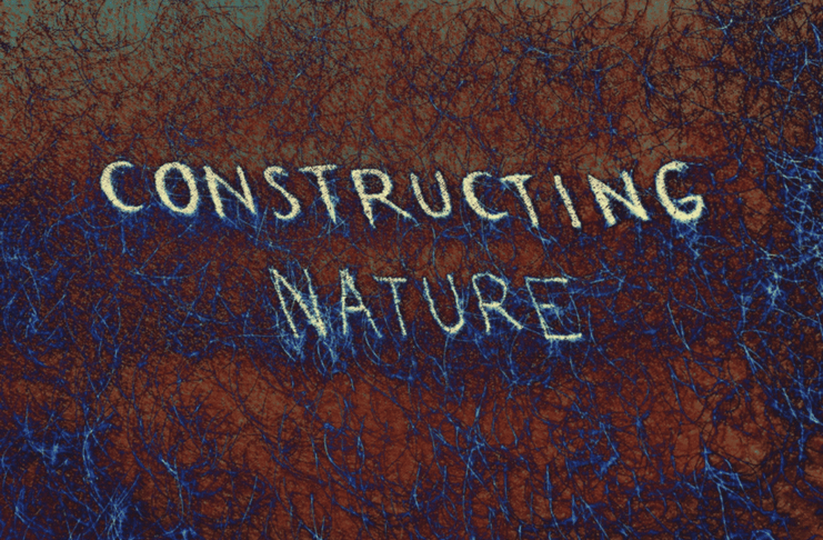 Constructing Nature. La mostra di Javier Sarmiento e Asarfelt