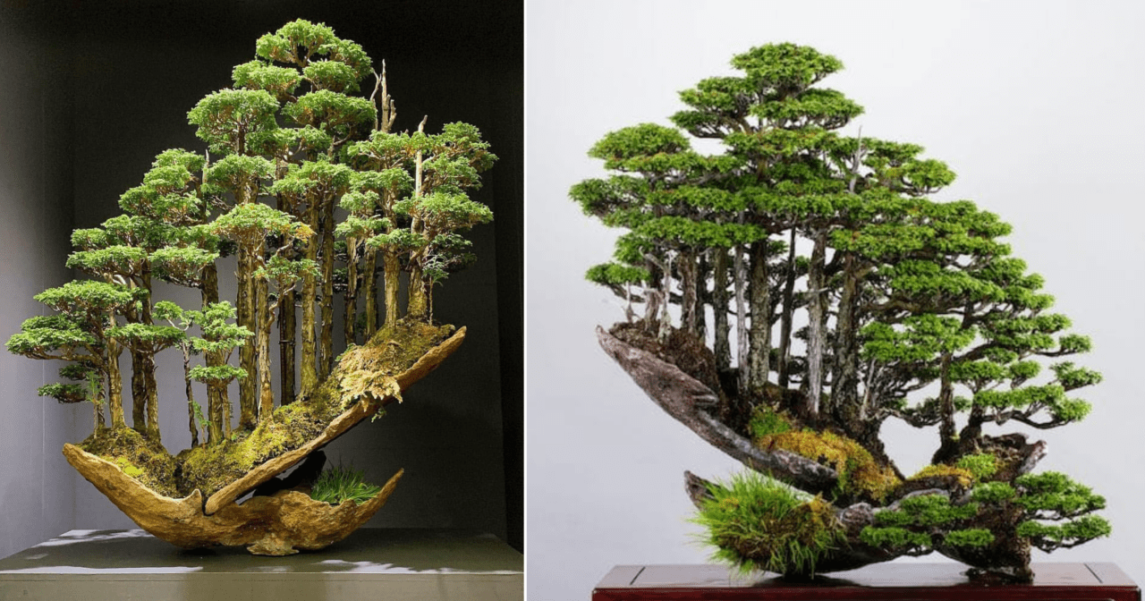 La foresta bonsai capolavoro d'arte contemporanea giapponese - Artuu  Magazine