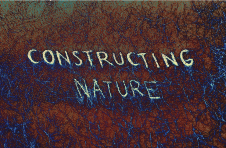 Constructing Nature. La mostra di Javier Sarmiento e Asarfelt